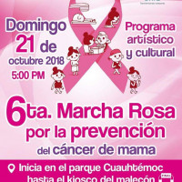 6ta. Marcha Rosa por la prevención del cáncer de mama